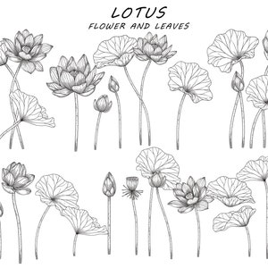 Puede incluir: Un dibujo en blanco y negro de flores y hojas de loto. El dibujo incluye varias etapas de la flor de loto, desde capullos hasta flores completamente florecidas.