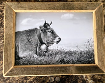 Altholzbilderrahmen Kuh Berge Alp Viehscheid Geschenk Weihnachten Chalet Ferienwohnung Deko Hotel Natur Allgäu Schweiz Heimat cows bayern