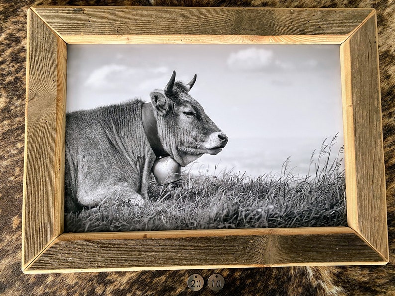 Altholzbilderrahmen Kuh Berge Alp Viehscheid Geschenk Weihnachten Chalet Ferienwohnung Deko Hotel Natur Allgäu Schweiz Heimat cows bayern Bild 1