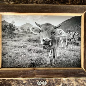 Old wood picture frame picture gift chalet holiday apartment decoration hotel nature Allgäu Switzerland homeland cow mountains cattle drive photography outdoor Alp