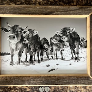 Old wood picture frame picture gift chalet holiday apartment decoration hotel nature Allgäu Switzerland homeland cow mountains cattle drive photography outdoor Alp