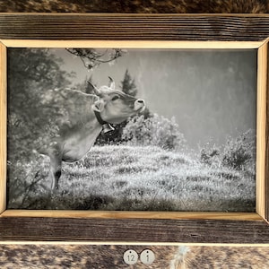Old wood picture frame picture gift chalet holiday apartment decoration hotel nature Allgäu Switzerland homeland cow mountains alp cattle drive photography