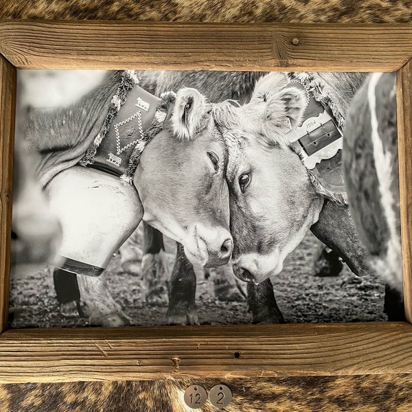 Altholz Bilderrahmen Dekoration Kuh Allgäu Schweiz Braunvieh Berge Alp Heimat Souvenir Geschenk Holz Wood Hütte Viehscheid Landwirtschaft