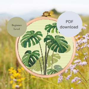 Könnte beinhalten: Ein Kreuzstichmuster einer Monstera-Pflanze in einem hölzernen Stickrahmen. Das Design zeigt grüne Blätter in verschiedenen Schattierungen vor einem hellgrünen Hintergrund. Der Text "PDF download" und "Beginner Level" sind ebenfalls enthalten.