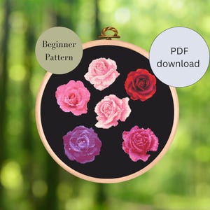 Könnte beinhalten: Ein schwarzer Stickrahmen mit einem Anfängermuster zum Kreuzstich von sechs rosa und roten Rosen. Der Text "Beginner Pattern" befindet sich auf dem Rahmen. Der Text "PDF download" befindet sich auf einem hellblauen Kreis.
