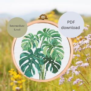 Könnte beinhalten: Ein Kreuzstichmuster mit einem Büschel grüner Monstera-Blätter in einem Reifen. Das Muster ist mit "Mittleres Niveau" gekennzeichnet und als PDF-Download verfügbar.