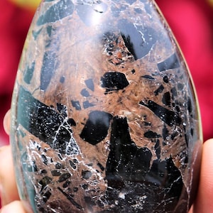 Uovo di cristallo di biotite nera lucida: pietra curativa metafisica (75 mm)