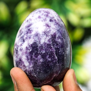 Uovo di lepidolite color lavanda lucidato: decorazione in cristallo curativo (70 mm)