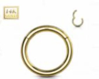 14 Karaats gouden dunne neusring met scharniersluiting