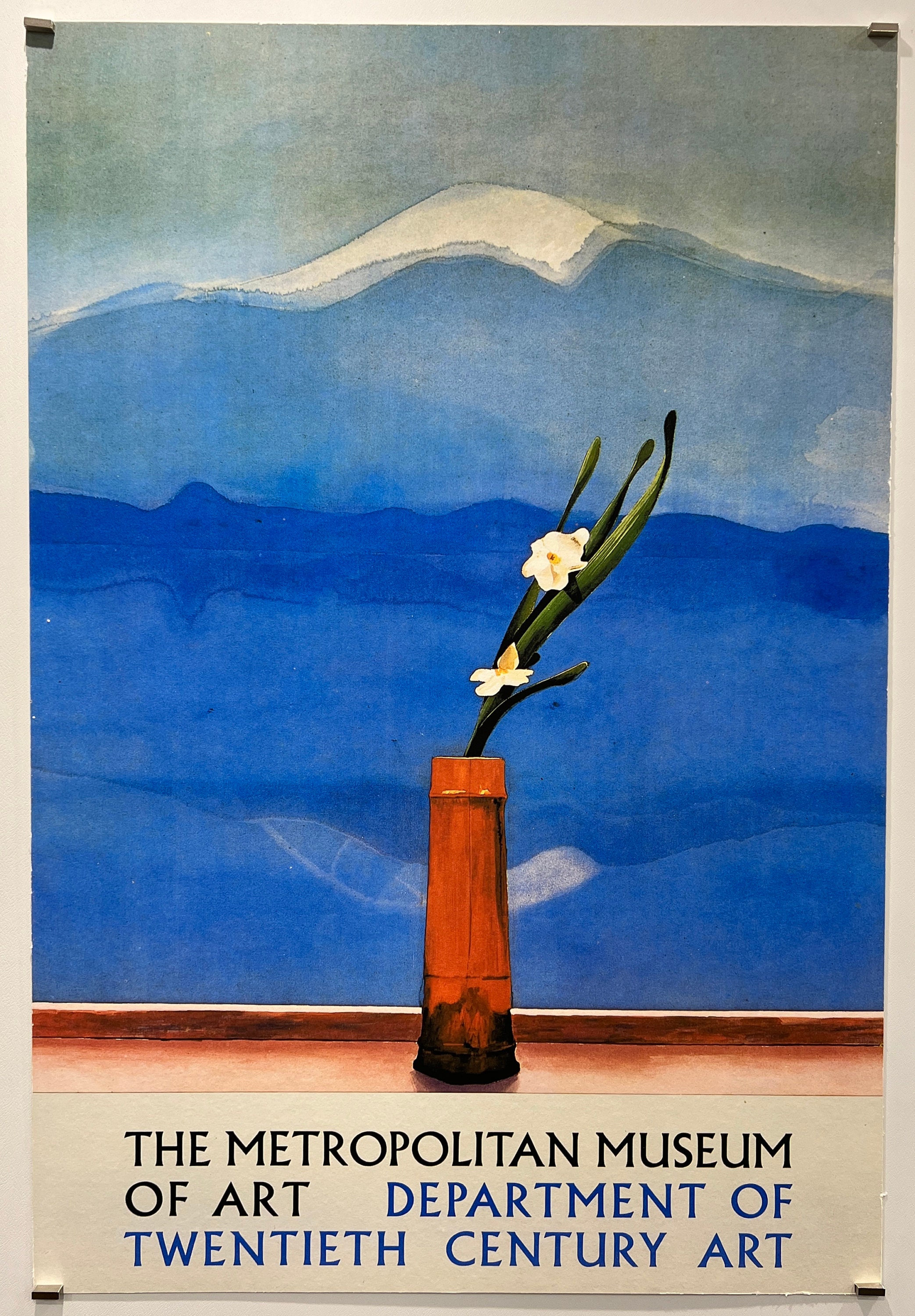 HOCKNEY POSTERS
ハードカバー david-hockney-a-retrospective-