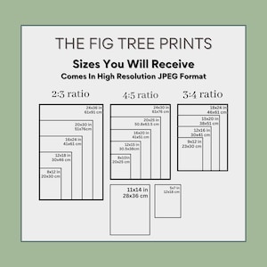 Puede incluir: Un gr&aacute;fico que muestra diferentes tama&ntilde;os de impresiones disponibles en proporciones 2:3, 4:5 y 3:4. El gr&aacute;fico incluye medidas en pulgadas y cent&iacute;metros. El texto dice "The Fig Tree Prints, Sizes You Will Receive, Comes In High Resolution JPEG Format."