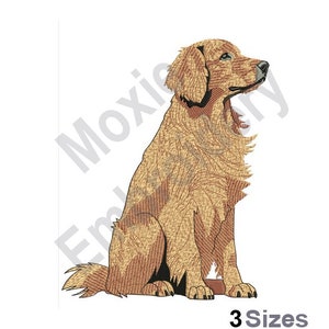 Golden Retriever - Machine Embroidery Design - 3 Sizes, Sitting Dog Embroidery Pattern,