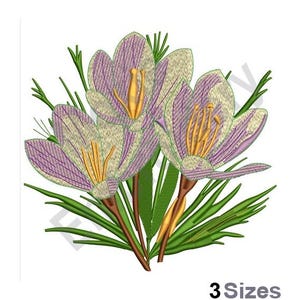 May include: A close-up of three purple and white crocus flowers with yellow centers. The flowers are surrounded by green leaves.