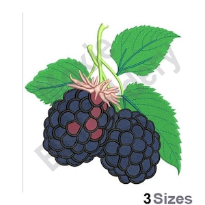 Moras frescas - Diseño de bordado a máquina - 3 tamaños, patrón de bordado de hojas de mora, diseño de bordado de frutos de baya negra