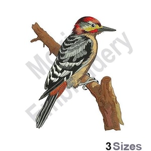 Op de afbeelding: Een roodkopige specht met zwart-witte markeringen die op een tak zit. De vogel heeft een lange, puntige snavel en een rode kuif op zijn kop.