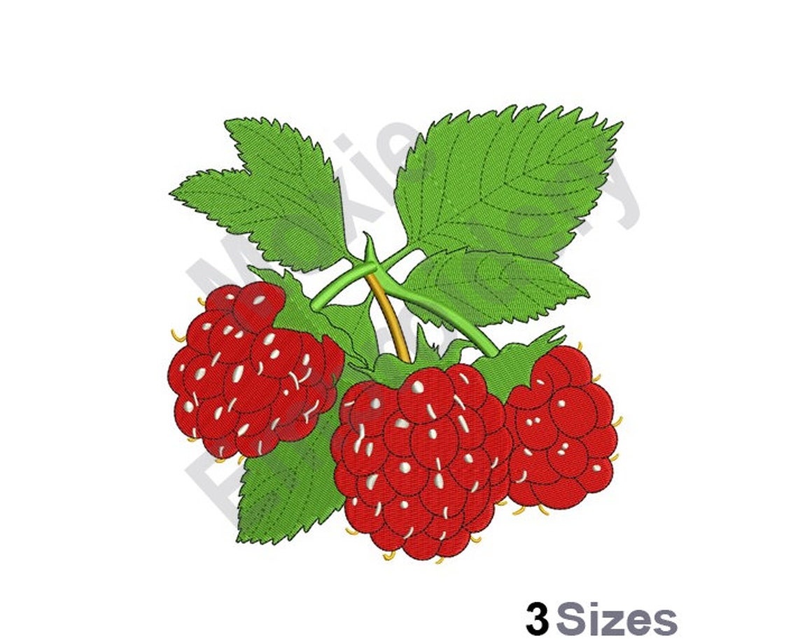 Embroider Raspberry Raspberries With Leaves - Machine Embroidery Design - 3 Sizes, Red ...