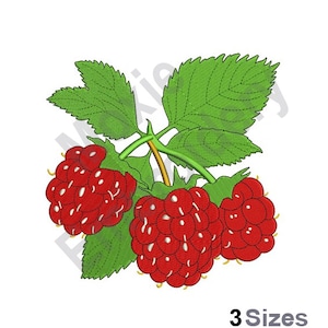 Pode incluir: Desenho bordado de três framboesas vermelhas com folhas verdes. As framboesas estão agrupadas em um galho.