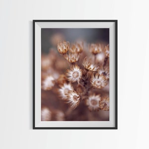 Dried Wildflowers Photography | Digital Download