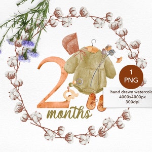 2 twee maanden Baby verjaardag clipart statistieken, Baby shower PNG illustraties met nummer, boho bloemen en speelgoed, Baby mijlpaal afbeelding voor pasgeboren