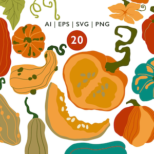 Pumpkin Vector Clipart Set – 20 Hand-Drawn Pumpkins, Leaves & Blossoms – EPS SVG PNG for Labels, Packaging and Fall Crafts