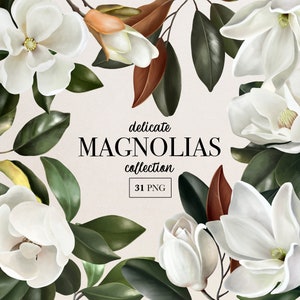 Magnolienblüten und Blätter, realistische botanische Clipart, grüne Blätter, weiße Magnolien-Hochzeitsblumen, zarte botanische Clipart