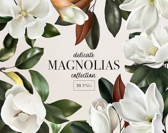 Magnolia Flower Clipart, Green Leaves, Wedding Flowers (PNG files)