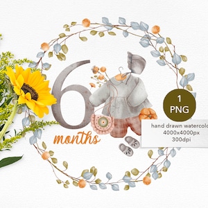 6 zes maanden Baby verjaardag clipart statistieken, Baby shower illustraties met nummer, boho bloemen en speelgoed, Baby mijlpaal afbeelding voor pasgeboren