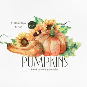 Pumpkins and Sunflowers Watercolor Autumn Clipart - Autumn Bouquets - Fall Pumpkin Clipart - Pumpkin PNG - Cozy Fall - Autumn Decor