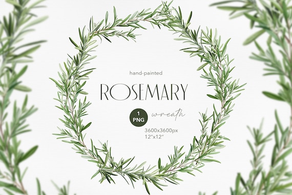 Hand-painted Watercolor Rosemary Wreath PNG - Transparent
