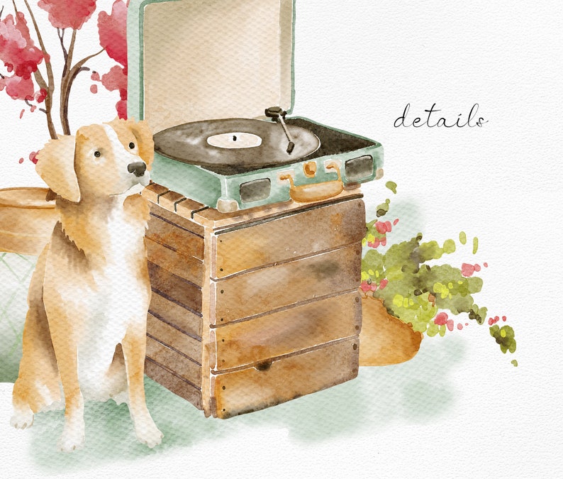 Puede incluir: Una pintura de acuarela de un perro sentado junto a un tocadiscos vintage en una caja de madera. El tocadiscos es verde y tiene un disco negro en &eacute;l. El perro es marr&oacute;n y blanco y tiene la cabeza inclinada hacia un lado. La pintura tiene un fondo claro con algunas flores rosas en la esquina.