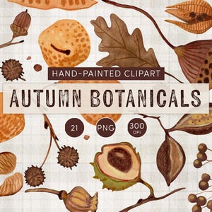 Herbst botanisches Clipart-Set - 21 PNG-Elemente und als Bonus druckbares Poster - Handgemalte Herbstblätter und Samen