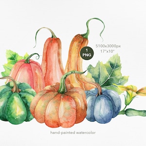 Pumpkins and Flowers Watercolor Autumn Clipart - Autumn Bouquets - Fall Pumpkin Clipart - Pumpkin PNG - Cozy Fall - Autumn Decor