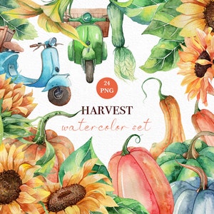 Watercolor Harvest clip art, Autumn clip art, Garden clipart, Thanksgiving clipart, Sunflower clipart, Watercolor Harvest, Fall basket, PNG.