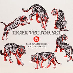 Tiger Vektor Illustrationen - 6 Handgezeichnete Tiger PNG, SVG, EPS - Wildtier Clipart für Aufkleber, T-Shirts, Poster