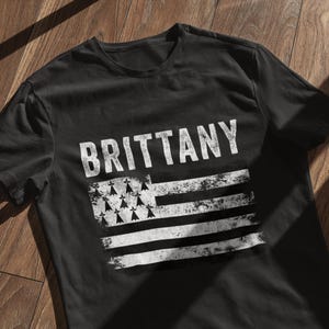 Brittany Flag Distressed - Breton Flag T-Shirt
