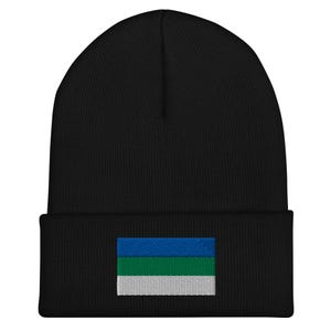 May include: Black beanie with a blue, green, and white flag embroidered on the front.