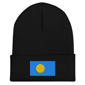 May include: Black beanie with a blue and yellow Palau flag patch on the front.