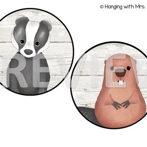 May include: Two illustrated animal images on a white wood background. The first image is a badger with black and white fur. The second image is a brown beaver with a black nose and tail.