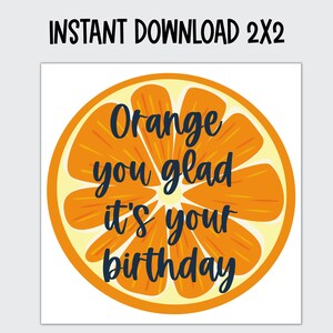 Orange You Glad It's Your Birthday Gift Tag or Square Sticker - Etsy