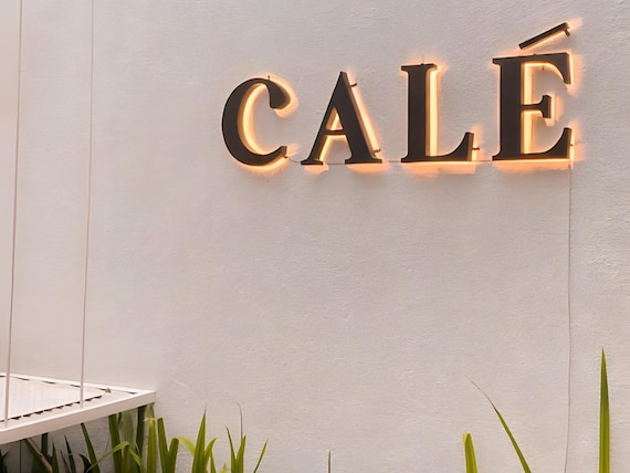 3d backlit sign, led signage, custom outdoor logo 3d brushed metal logo 3d business sign custom sign for office, small business sign, diy