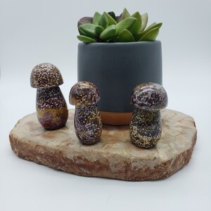 Ocean Jasper Mushrooms, Orbicular Ocean Jasper