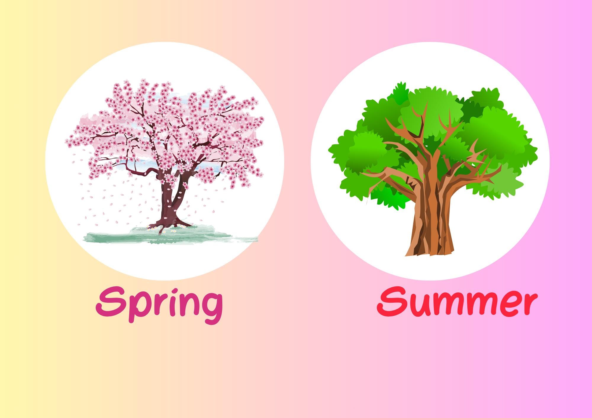Educational Seasons Flashcards - Etsy