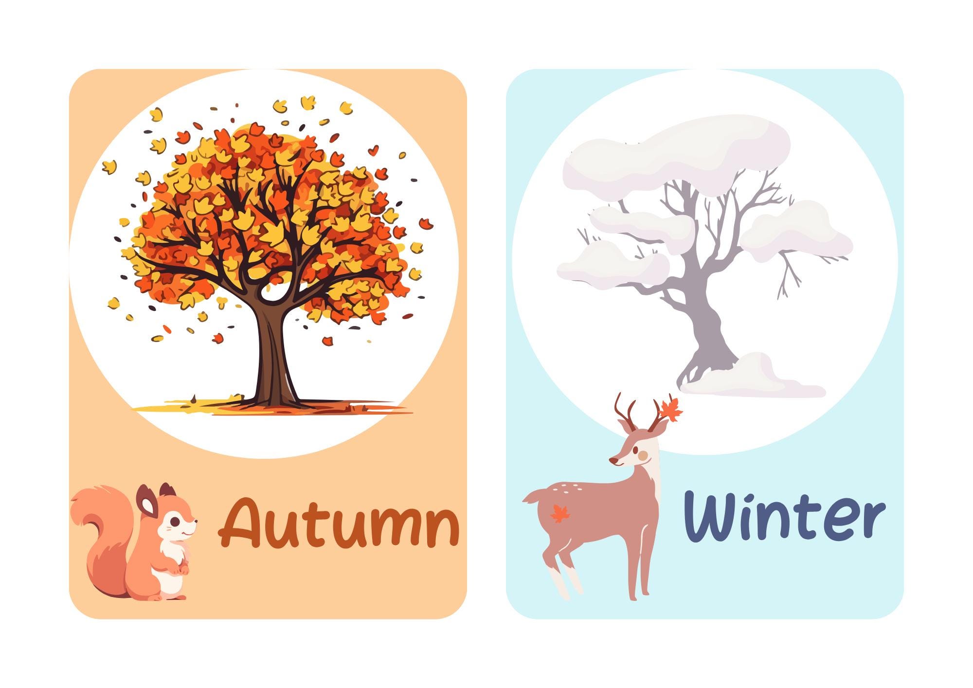 Educational Seasons Flashcards - Etsy