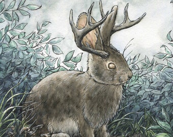 Jackalope-Aquarellmalerei