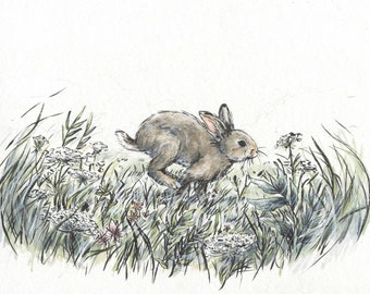 Peinture à l’aquarelle de lapin