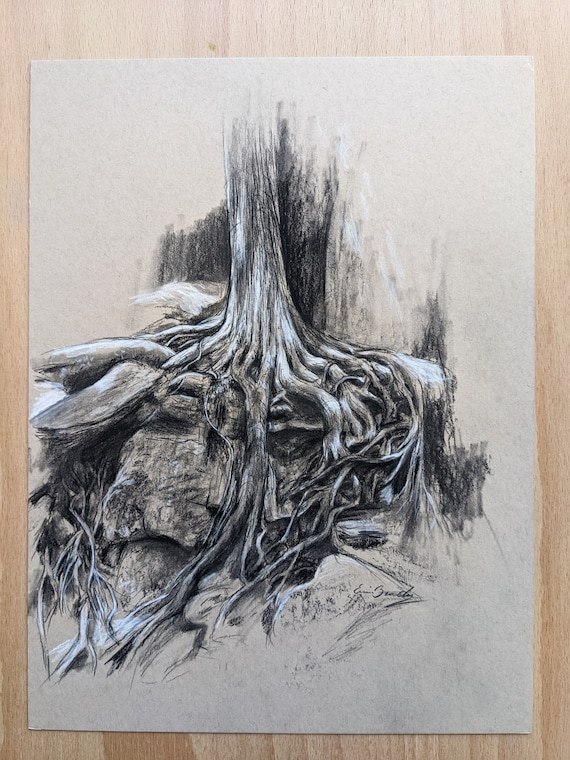 uprooted tree drawing