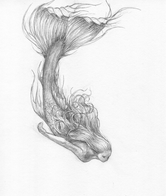 Mermaid on sale pencil drawings