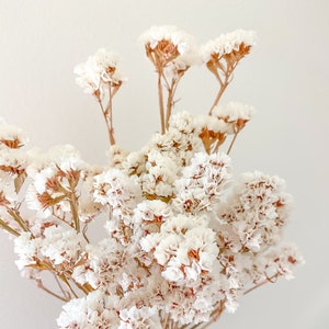 Dried Flower Bunch-Statice White – Sunny Meadows Flower Farm