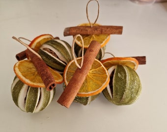 May include: Dried orange slices and green fruit ornaments with cinnamon sticks. Each ornament has a loop for hanging. The orange slices are a bright orange color, and the green fruit has white stripes. The cinnamon sticks are a dark brown color.