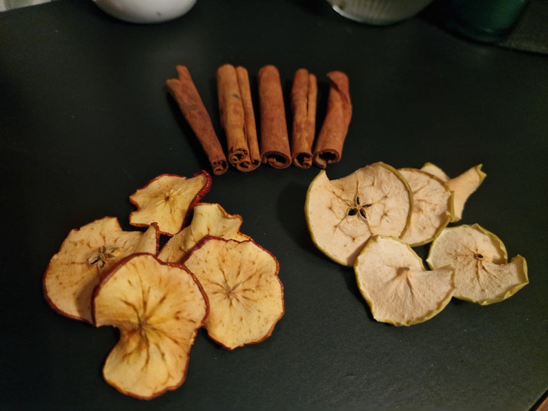 Naturkranz Herstellungsset: Getrocknete Früchte, Chili, Kiefernzapfen (50 Stück) Bild 3